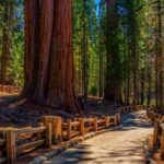 mass-migration-devastated-california’s-natural-resources-over-decades:-study