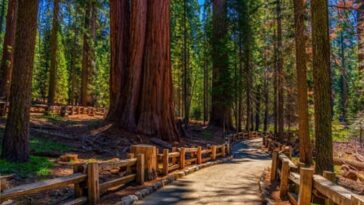 mass-migration-devastated-california’s-natural-resources-over-decades:-study