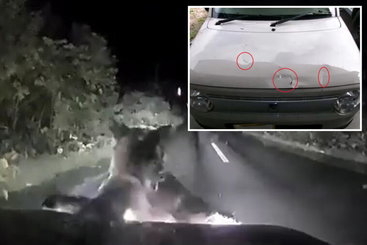 terrifying-moment-bear-springs-from-darkness-to-attack-woman’s-car-as-she’s-trapped-inside