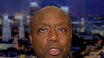 tim-scott-says-democrat-midterms-candidates-‘dangerous,-radical-and-weird’