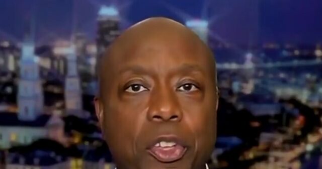 tim-scott-says-democrat-midterms-candidates-‘dangerous,-radical-and-weird’