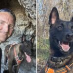 major-the-belgian-malinois-faces-death-as-owner-has-only-days-to-convince-judge-to-spare-service-dog-from-euthanasia