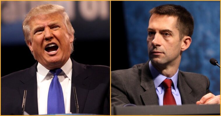 trump-responds-to-tom-cotton-in-scorched-earth-truth-social-post-over-blocked-daylight-saving-time-bill:-“take-the-win-tom,-just-take-the-win”