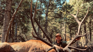 country-star-riley-green-gets-massive-elk-on-utah-bow-hunt