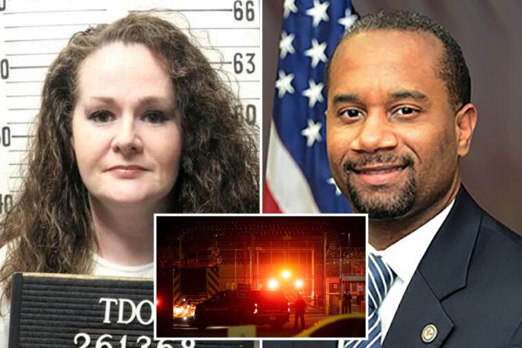 ex-us-attorney-will-lead-independent-review-of-christa-pike-botched-execution