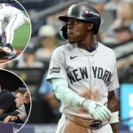 yankees-delivered-a-bitter-reminder-that-these-rays-aren’t-the-red-sox