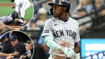 yankees-delivered-a-bitter-reminder-that-these-rays-aren’t-the-red-sox