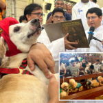 wagging-tails-fill-malate-church-as-priests-bless-pets-for-st.-francis-feast