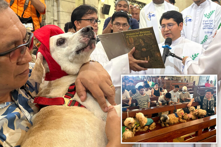 wagging-tails-fill-malate-church-as-priests-bless-pets-for-st.-francis-feast