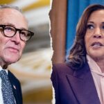 watch:-dem-senators-dodge-backing-kamala-harris-in-potential-2028-run:-‘very-messy’