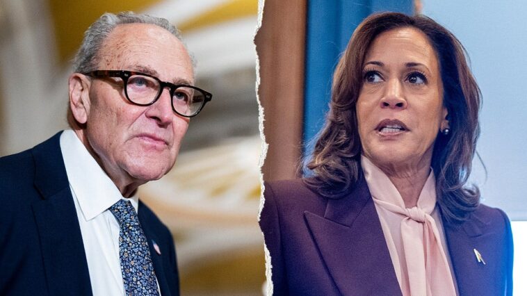 watch:-dem-senators-dodge-backing-kamala-harris-in-potential-2028-run:-‘very-messy’