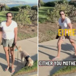 laguna-beach-‘karen’-hijacks-california-couple’s-romantic-engagement