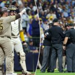 the-insane-ballpark-rule-behind-padres’-brutal-nlds-heartbreak