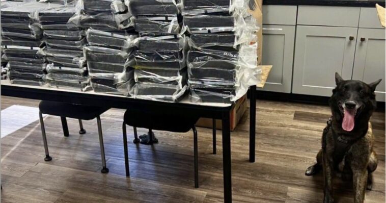 california-police-dog-sniffs-out-440-pounds-of-cocaine-stuffed-inside-suv