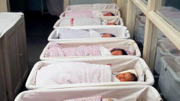 rep.-brandon-gill-warns-if-democrats-‘take-back-the-house’-they-will-end-investigations-into-birth-tourism-agencies