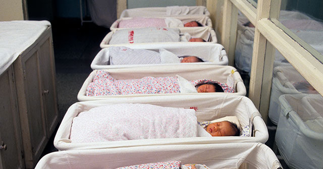 rep.-brandon-gill-warns-if-democrats-‘take-back-the-house’-they-will-end-investigations-into-birth-tourism-agencies