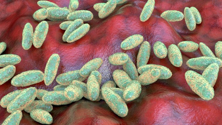 us-monitoring-suspected-fatal-pneumonic-plague-case-in-russia,-state-department-official-says