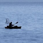 shark-bites-fisherman-twice-during-kayaking-encounter-along-california-beach