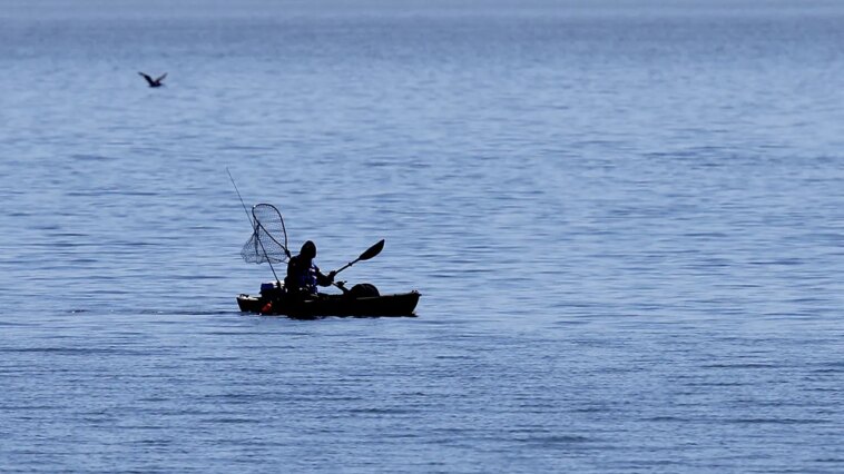 shark-bites-fisherman-twice-during-kayaking-encounter-along-california-beach