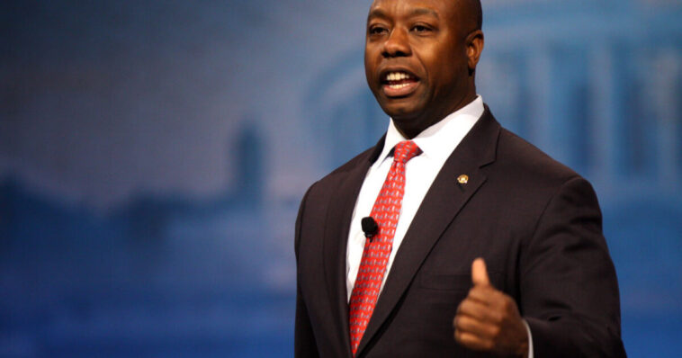 sen.-tim-scott-predicts-gop-will-‘without-question’-hold-the-senate-in-november-and-may-even-expand-majority