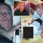 ex-prince-andrew-takes-cops-to-court-over-epstein-files-arrest:-report