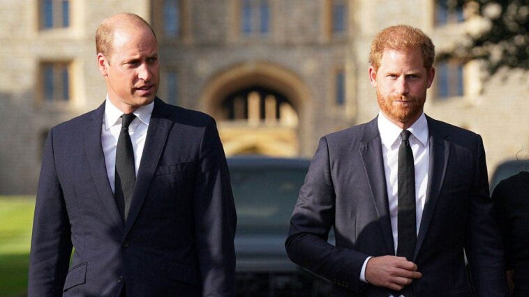 prince-william-‘incandescent-with-anger’-at-prince-harry-as-diana-anniversary-deepens-royal-rift:-piers-morgan
