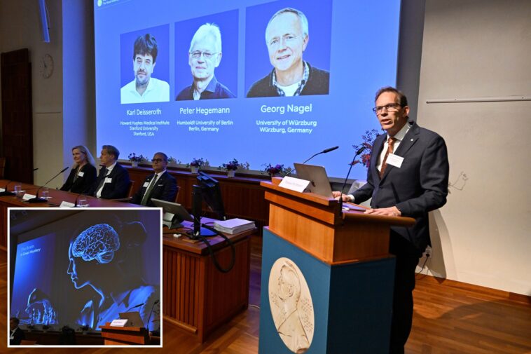 nobel-medicine-prize-goes-to-3-scientists-for-research-into-brain-activity