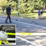 elderly-cyclist,-71,-killed-after-hitting-unleashed-dog,-flipping-over-handlebars-in-central-park