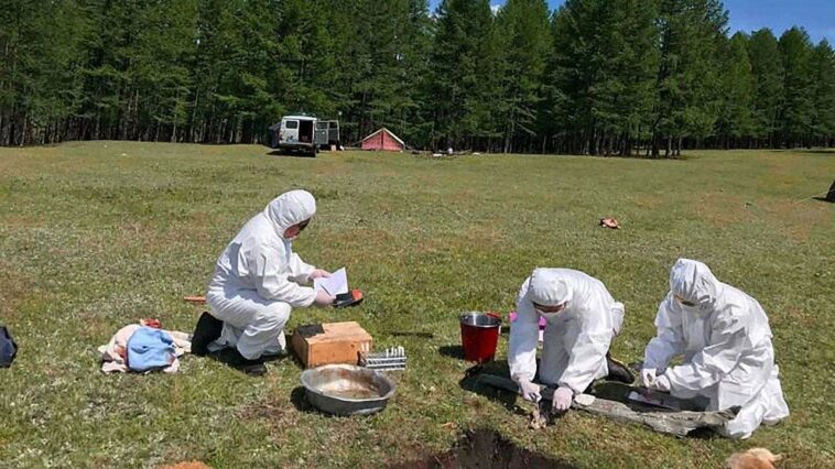 mystery-death-at-russian-plague-lab-triggers-sweeping-precautions-as-us-watches-closely