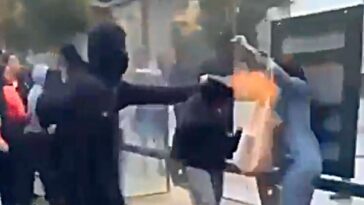 france-persuaded-by-protesters’-arguments-after-seeing-them-set-woman’s-face-on-fire