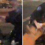 arizona-state-university-cheerleader-receives-rough-treatment-from-cops-after-allegedly-interfering-with-arrest-(video)