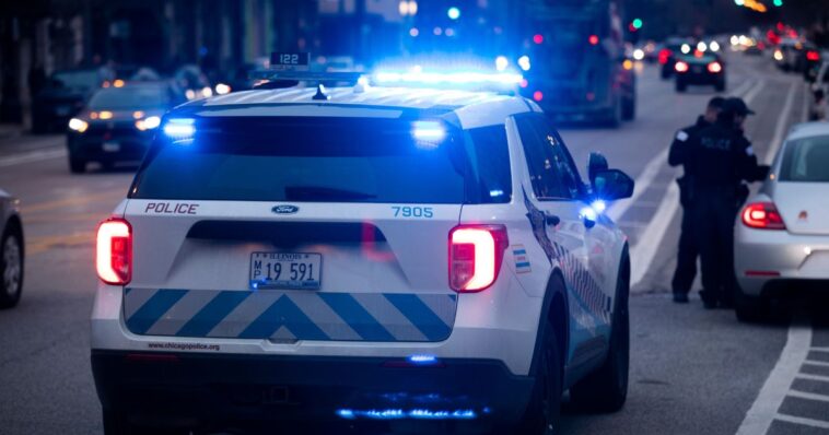 chicago-girl,-7,-stabbed-repeatedly-while-out-for-walk-with-older-sister-in-broad-daylight,-suspect-in-custody
