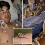 california-boy,-13,-left-in-grim-condition-after-coming-down-with-rare-disease