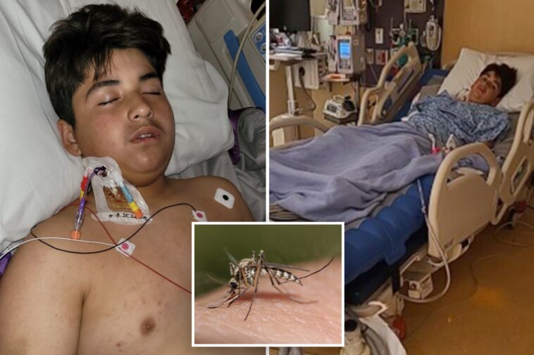 california-boy,-13,-left-in-grim-condition-after-coming-down-with-rare-disease