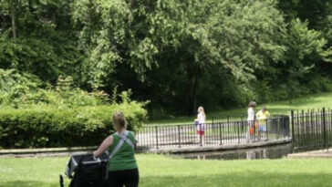 video-—-long-island:-teen-finds-human-remains-that-might-be-missing-elderly-woman’s