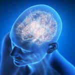 scientists-win-nobel-prize-for-turning-brain-cells-on-and-off-it-began-with-pond-scum.