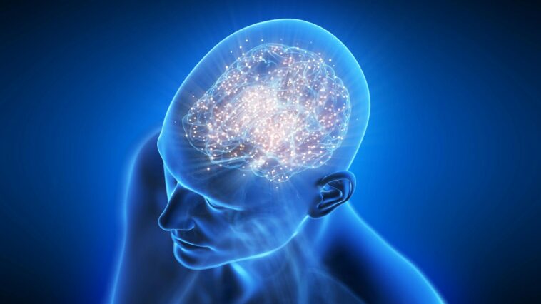 scientists-win-nobel-prize-for-turning-brain-cells-on-and-off-it-began-with-pond-scum.