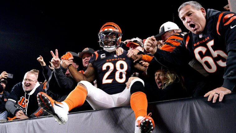 seattle-seahawks-throw-joe-mixon-another-chance-in-the-nfl-following-backfield-disaster