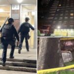 woman-dies,-baby-critically-injured-after-they-were-allegedly-thrown-from-bronx-apartment-block