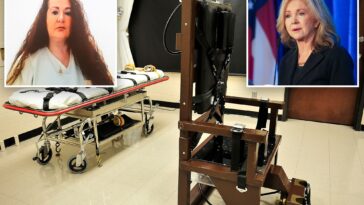 tennessee’s-likely-next-gov-calls-christa-pike’s-botched-execution-reason-to-‘bring-back-the-electric-chair’