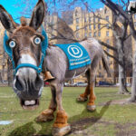 breaking:-battle-for-control-of-us-house-narrows-as-wacky-democrats-lose-ground-for-second-week-in-a-row