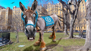 breaking:-battle-for-control-of-us-house-narrows-as-wacky-democrats-lose-ground-for-second-week-in-a-row