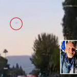 ntsb-releases-report-on-horror-la-nbc-helicopter-crash-that-killed-reporter,-pilot-and-tourist