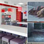 california-homeless-war-explodes-as-fast-food-restaurant-deploys-aggressive-defense-system