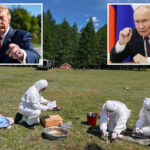 trump-scheduling-call-with-putin-amid-russian-plague-shock:-‘very-deep-discussions’