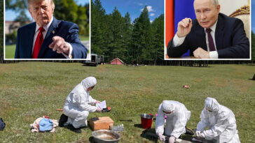 trump-scheduling-call-with-putin-amid-russian-plague-shock:-‘very-deep-discussions’