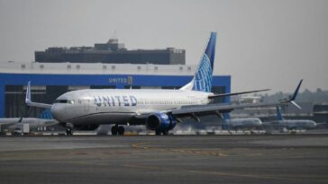 united-pulls-hamas-praising-pilot-from-service-after-report-of-reinstatement