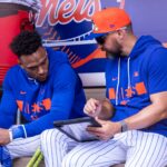 mets-fire-hitting-coach,-two-others-in-latest-staff-shake-up