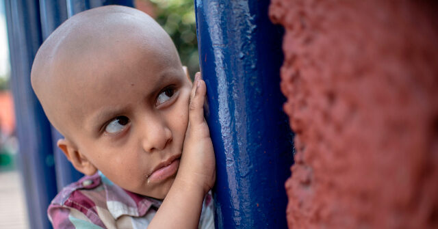 ngo’s-expose-mexico’s-political-elite-over-stolen-money-destined-for-children’s-cancer-medication