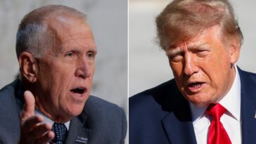 gop-sen.-thom-tillis-sucks-up-to-‘the-view’-by-threatening-to-dox-trump’s-personal-phone-number